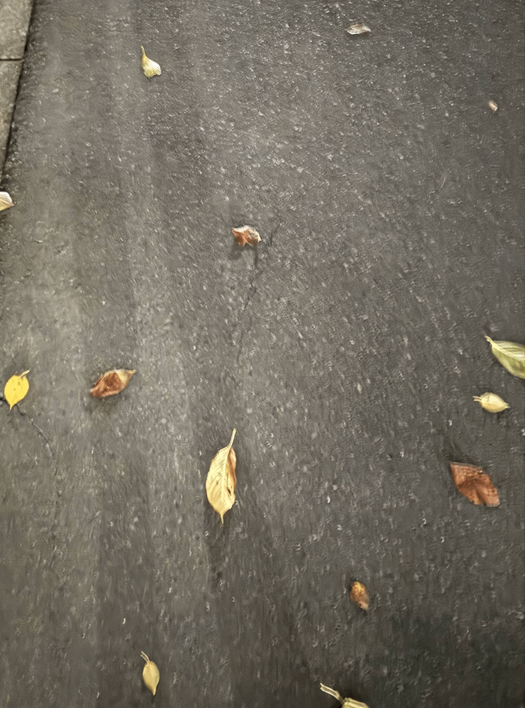 tempImageEGeg3U.gif