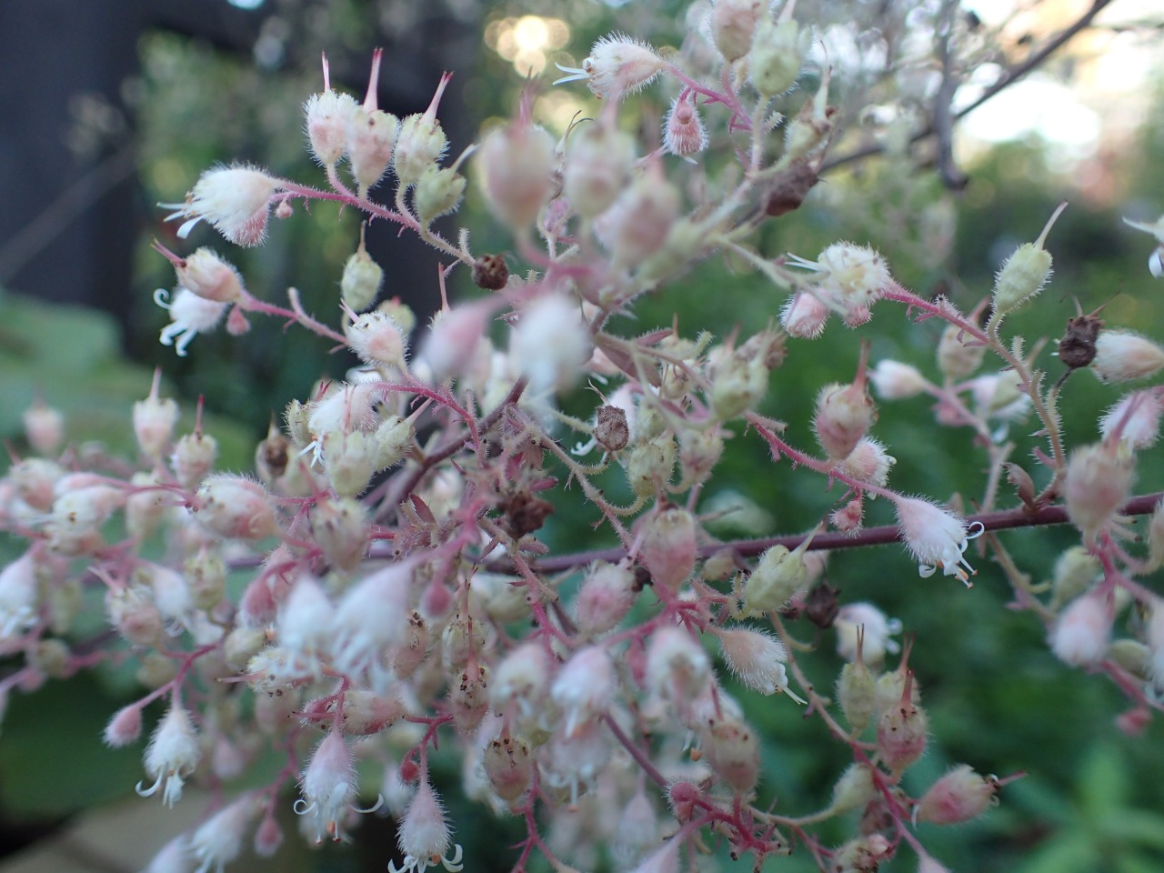 PB010922.JPG