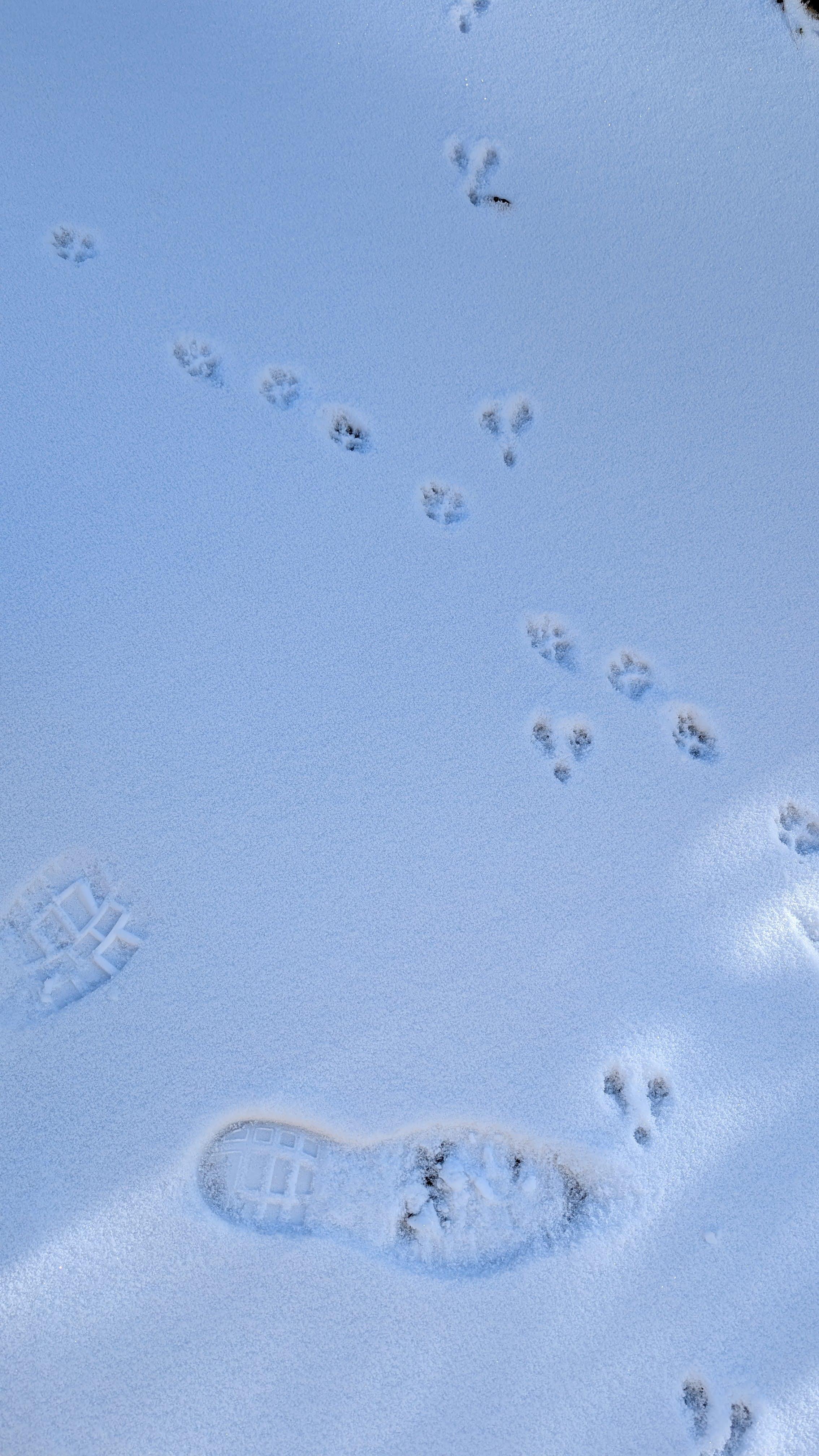 PXL_20250105_001359250.jpg