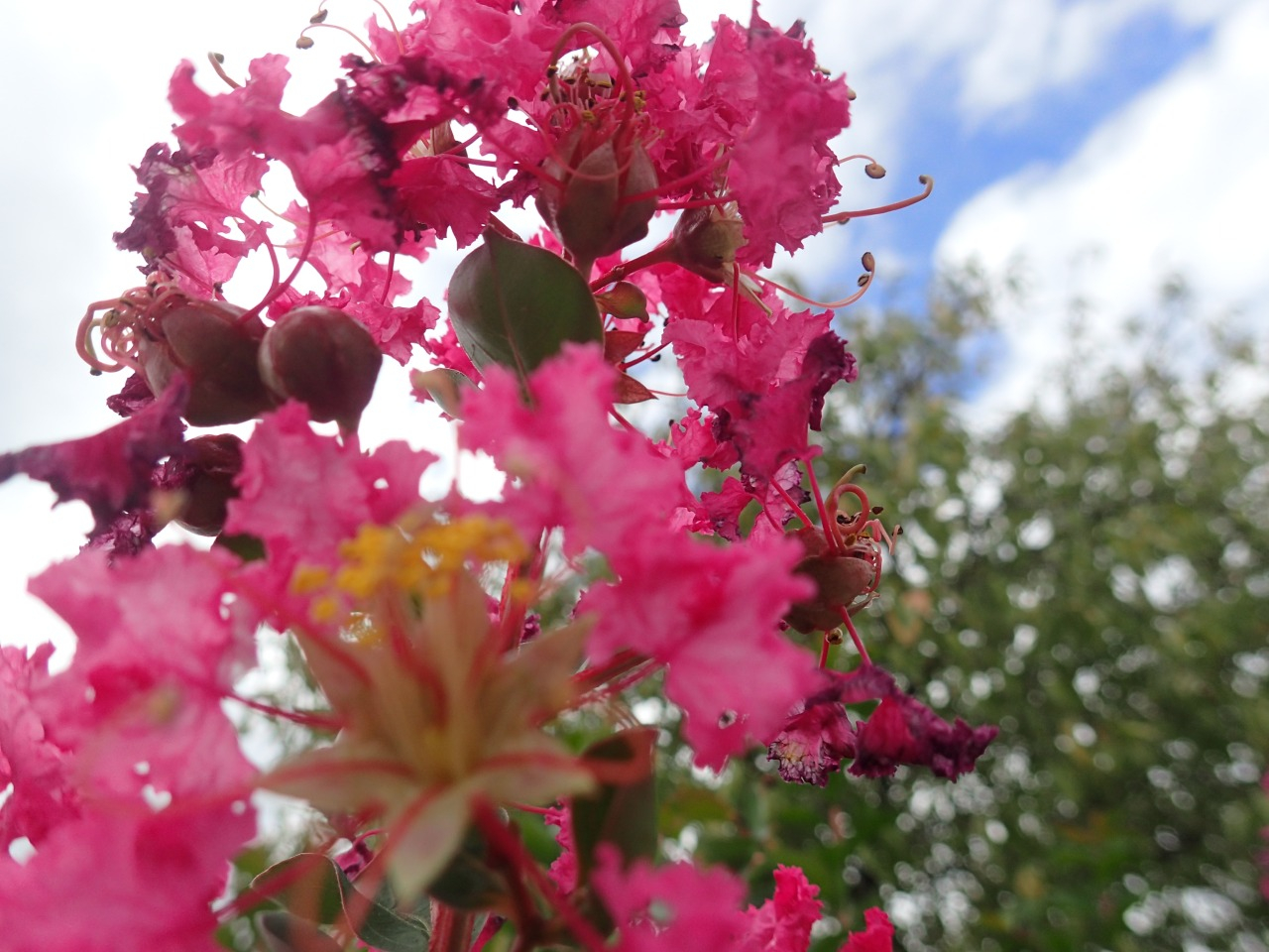 PA050234.JPG