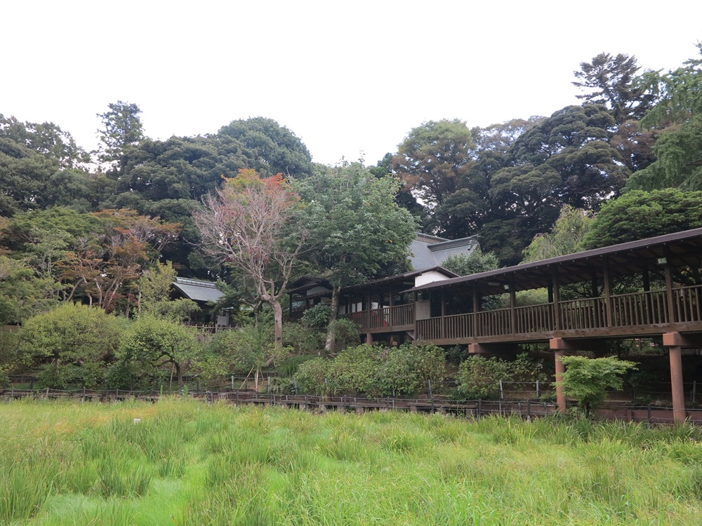 本土寺009.JPG