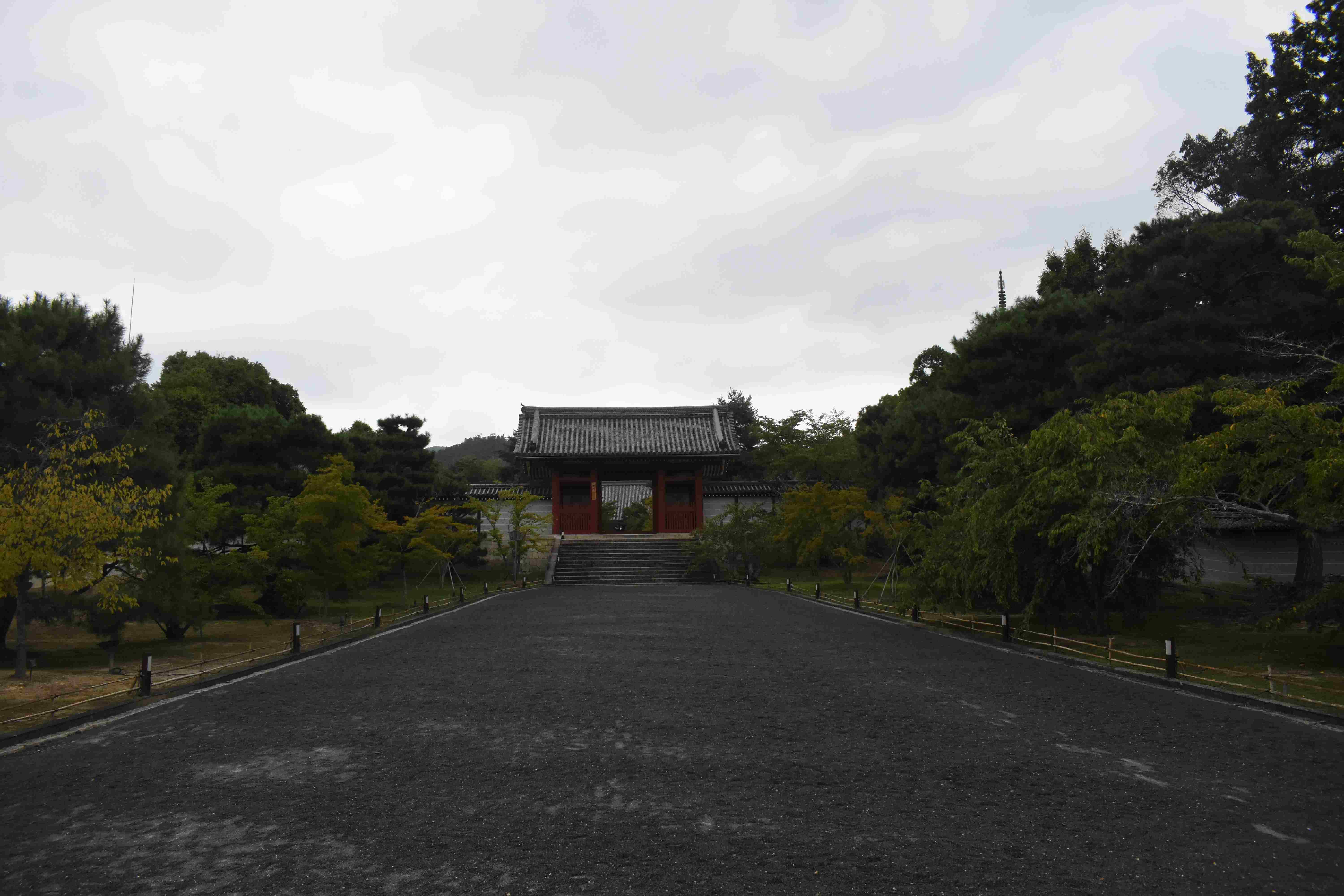 DSC_0579.JPG