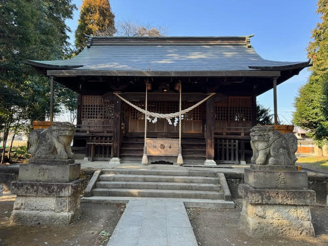 平柳.jpg