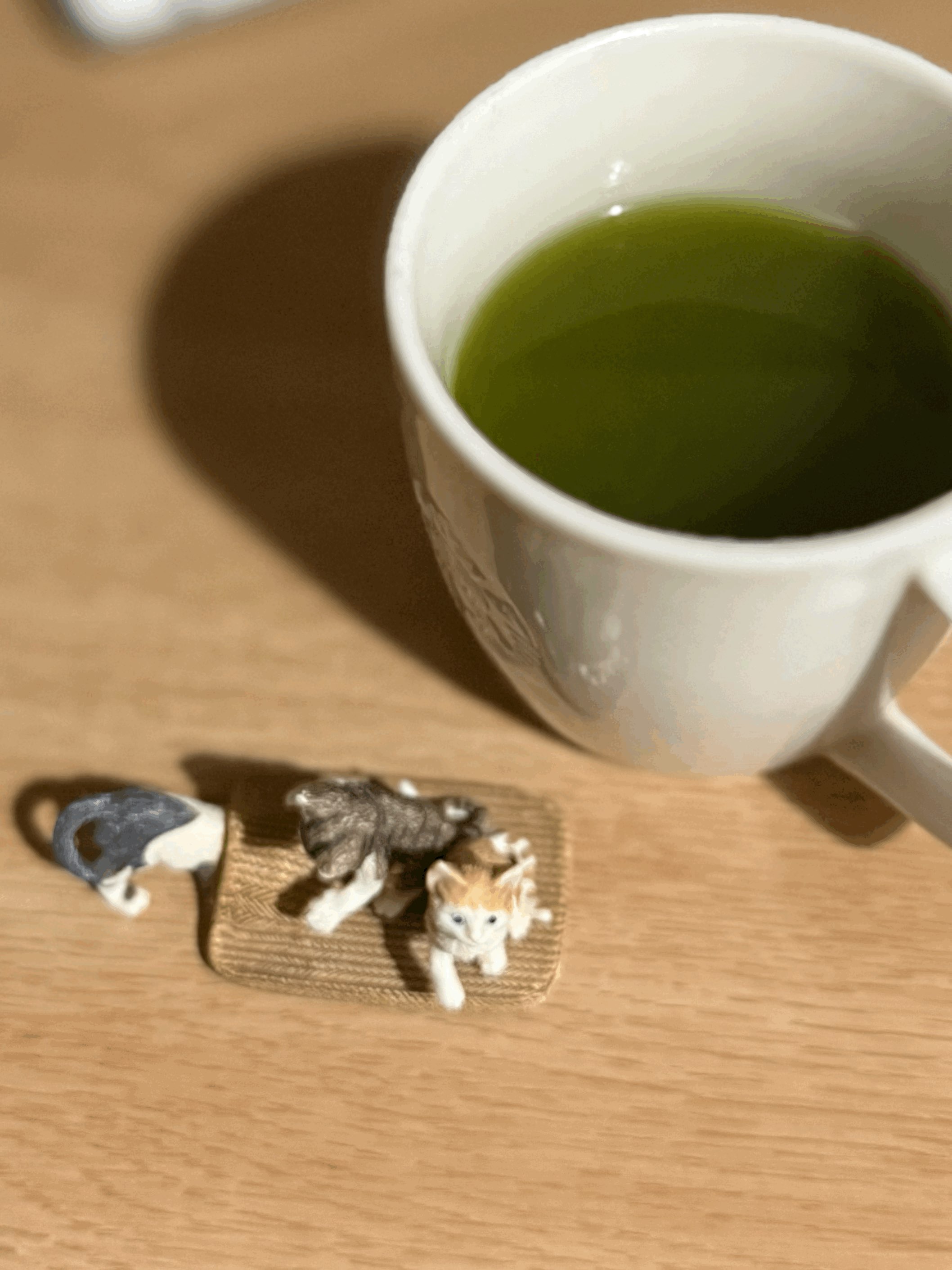 tempImageuFRcG3.gif