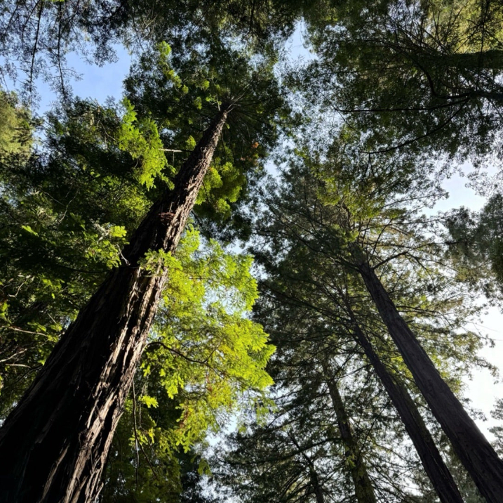 スクリーンショット 2024-06-10 1.55.02.png