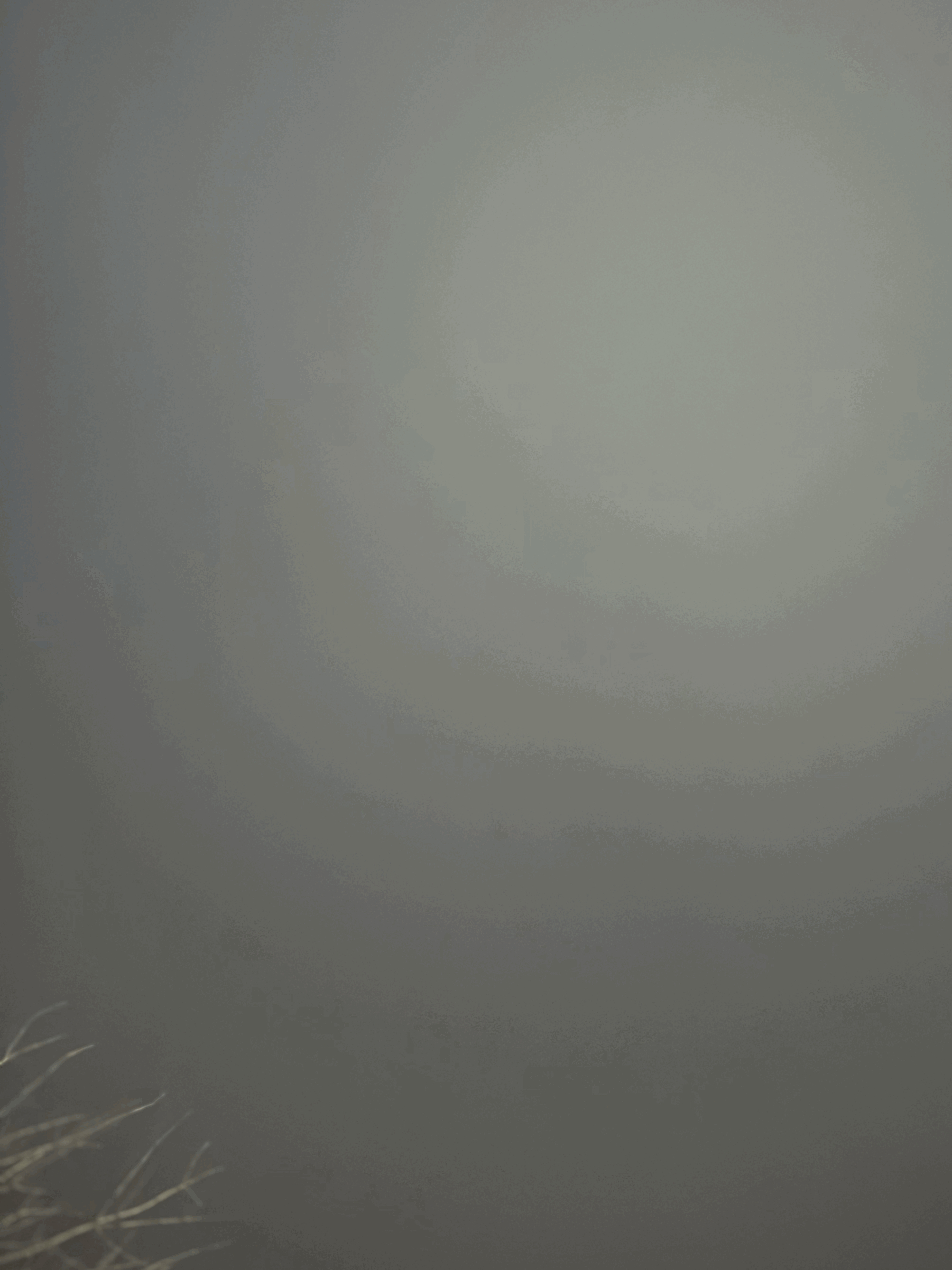 tempImageRorhtn.gif