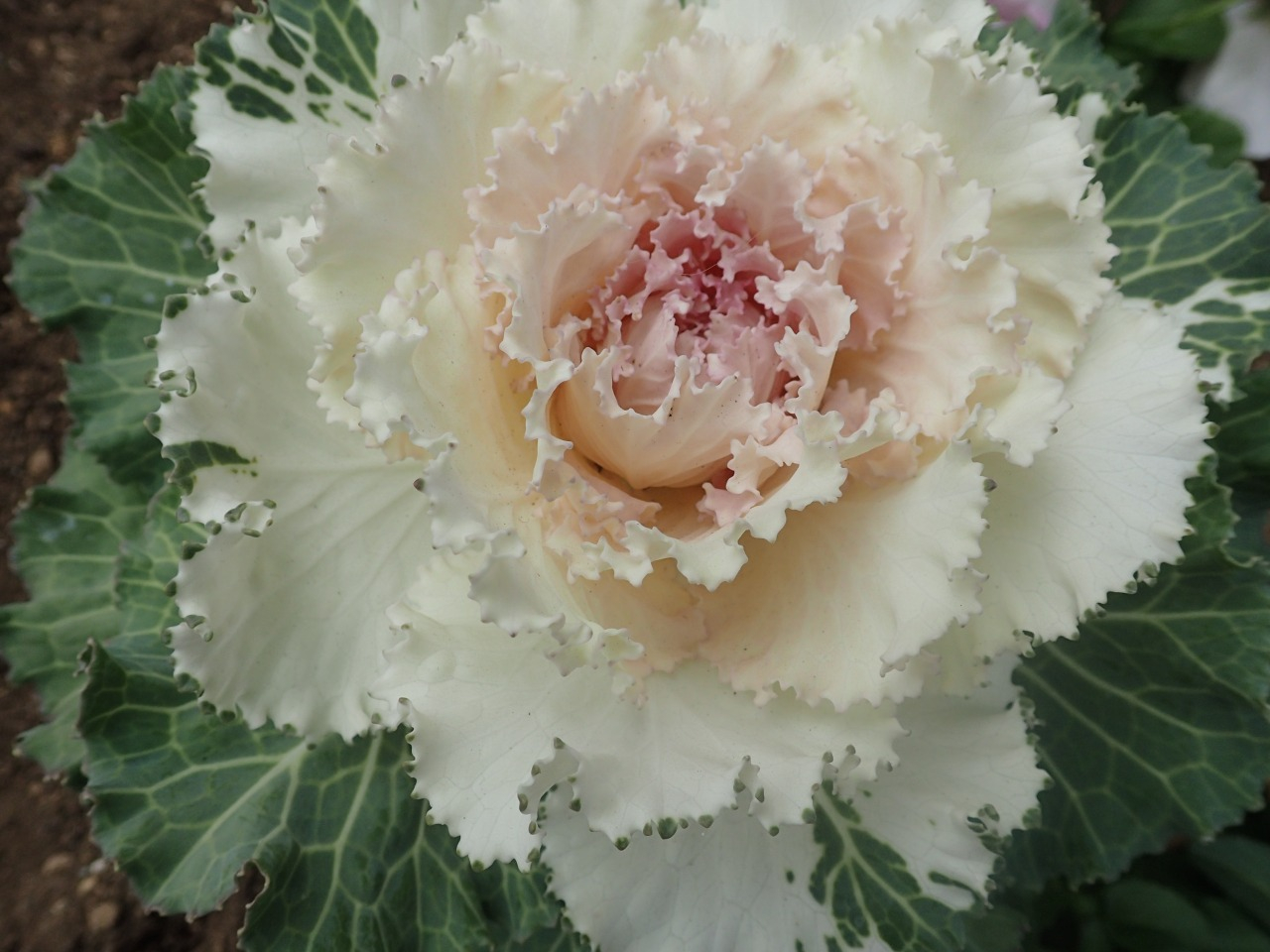 PC220130.JPG