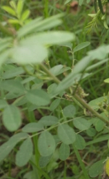 スクリーンショット 2022-08-03 002854.png