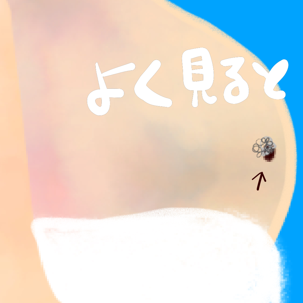 IMG_2593.PNG