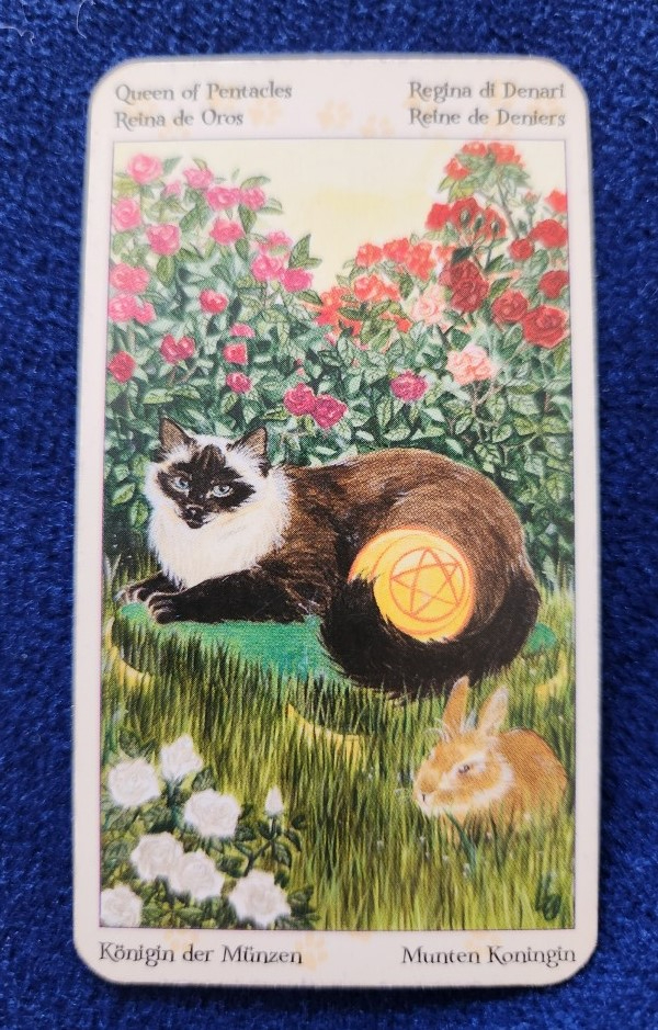 20240402_094753 (002).jpg