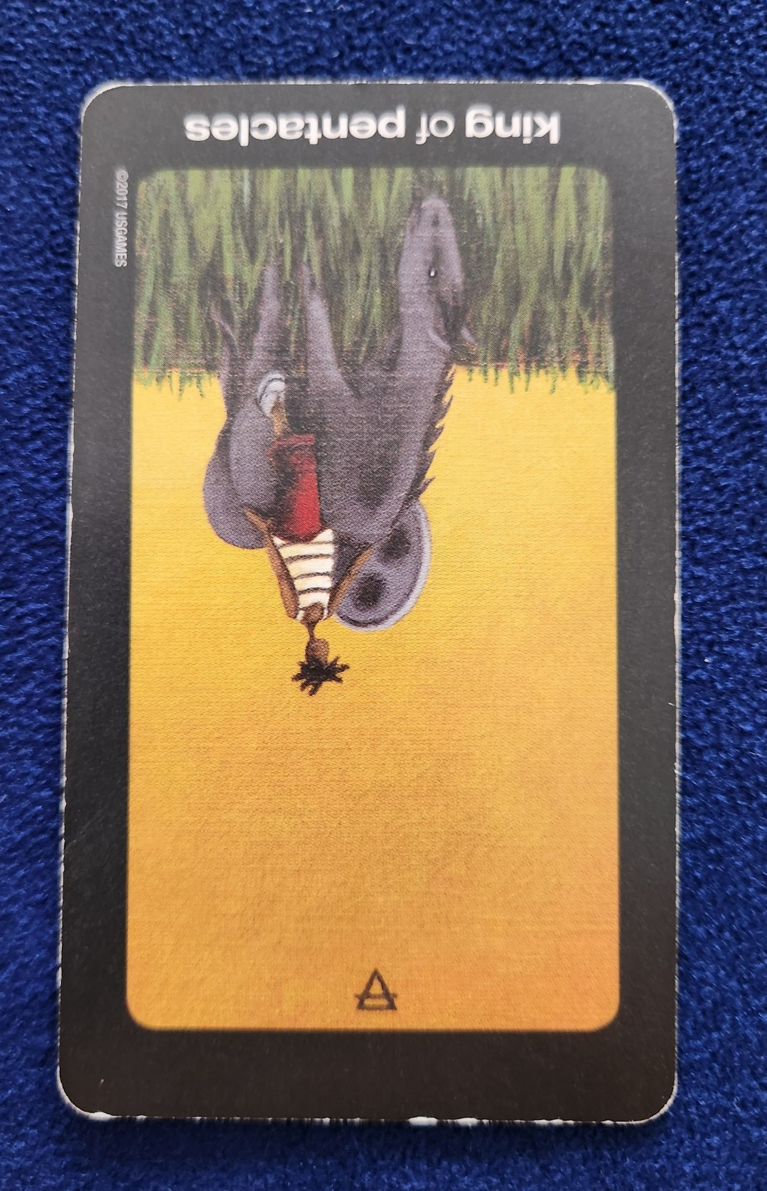 20231002_091502 (002).jpg