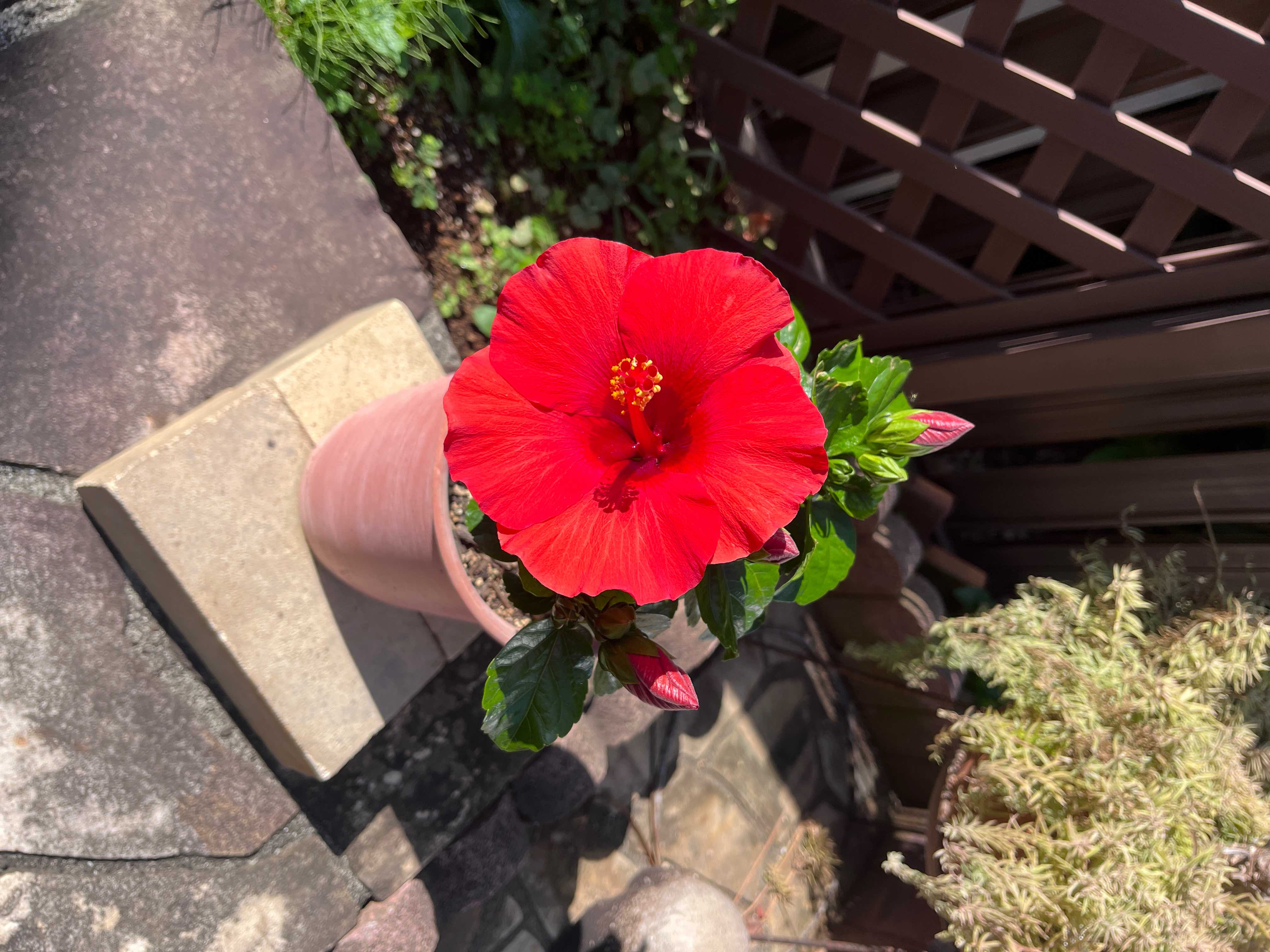 IMG_6082.jpeg