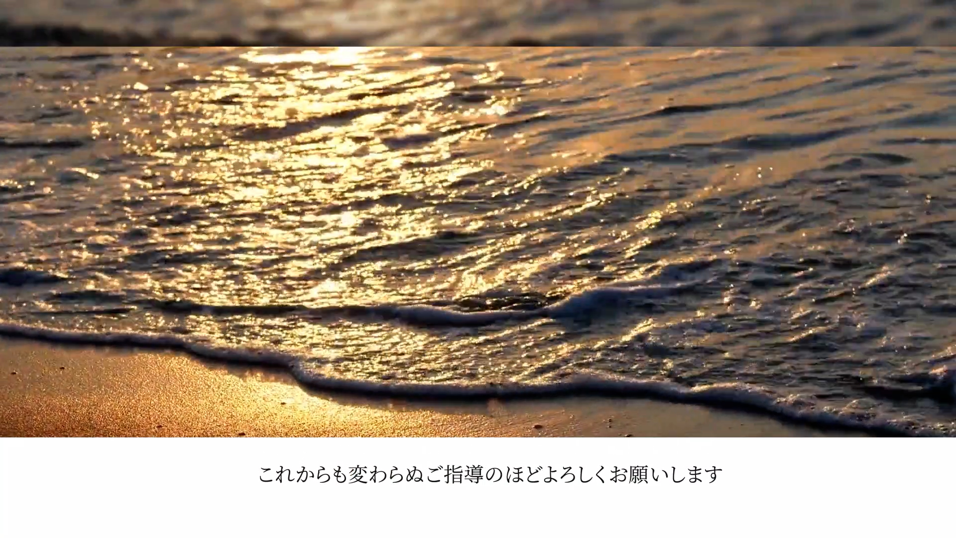 Profile_05.00_05_16_26.静止画026.png