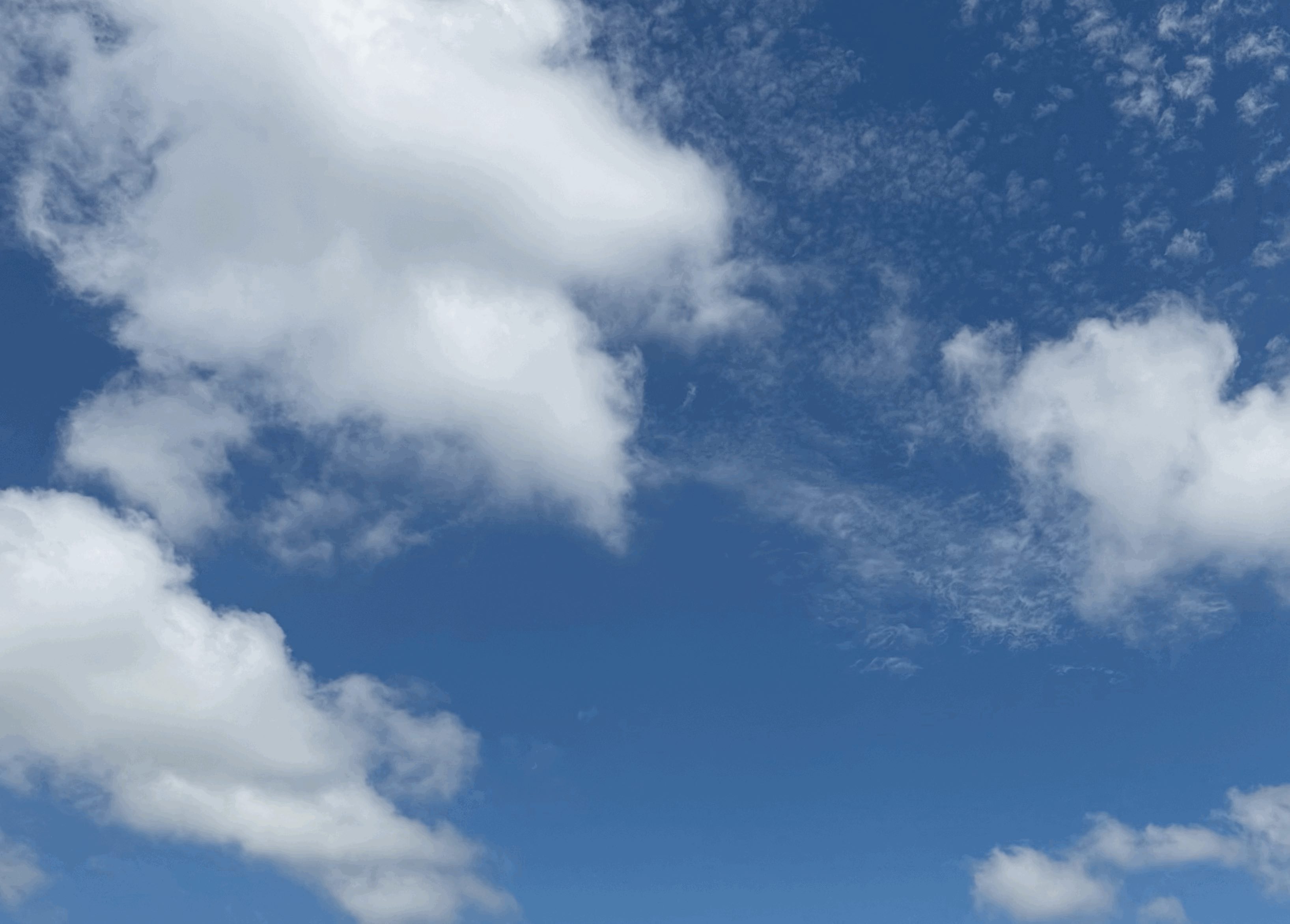 tempImagecASWnj.gif
