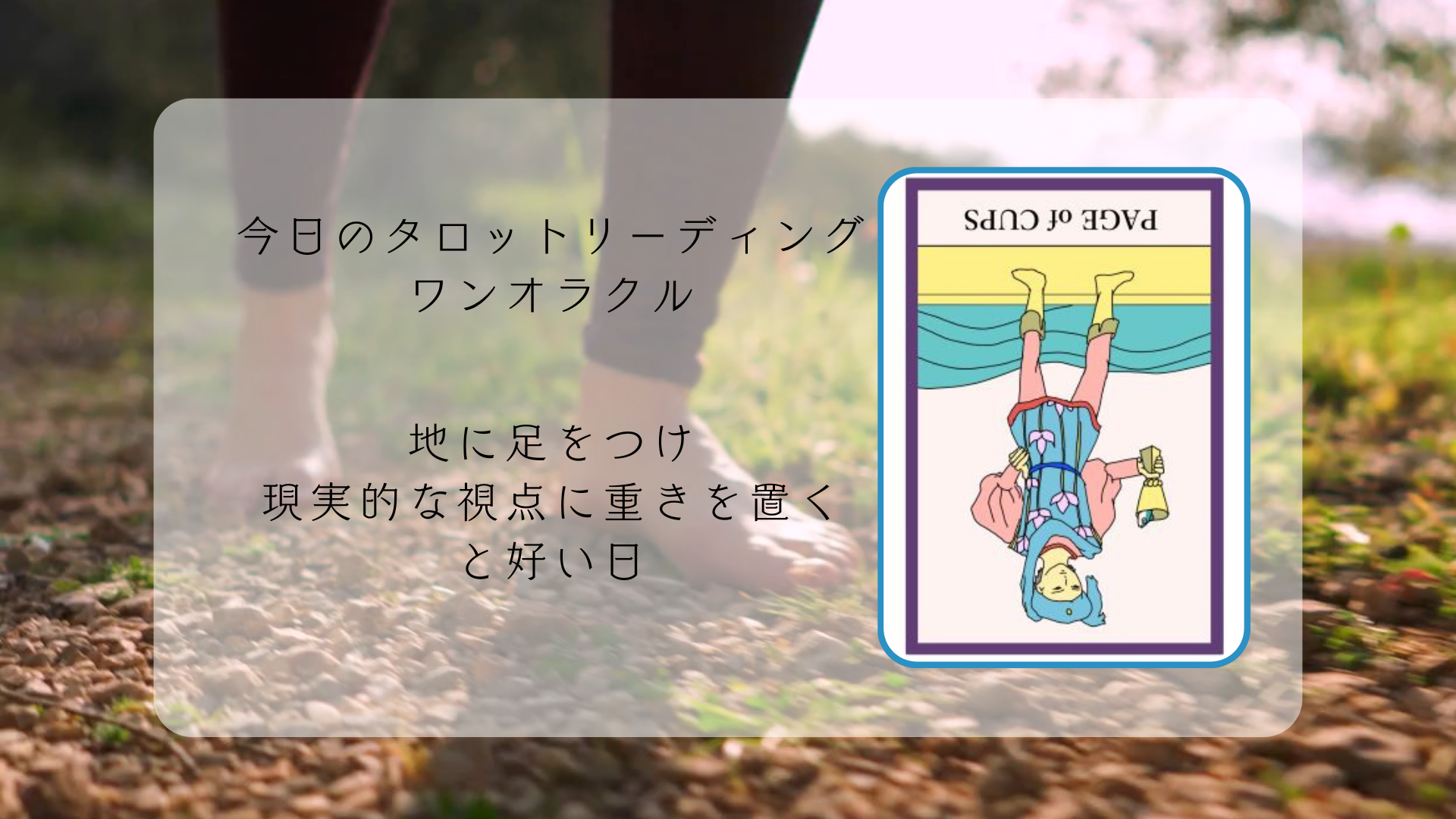 2026.1.28 カップのペイジの逆.png