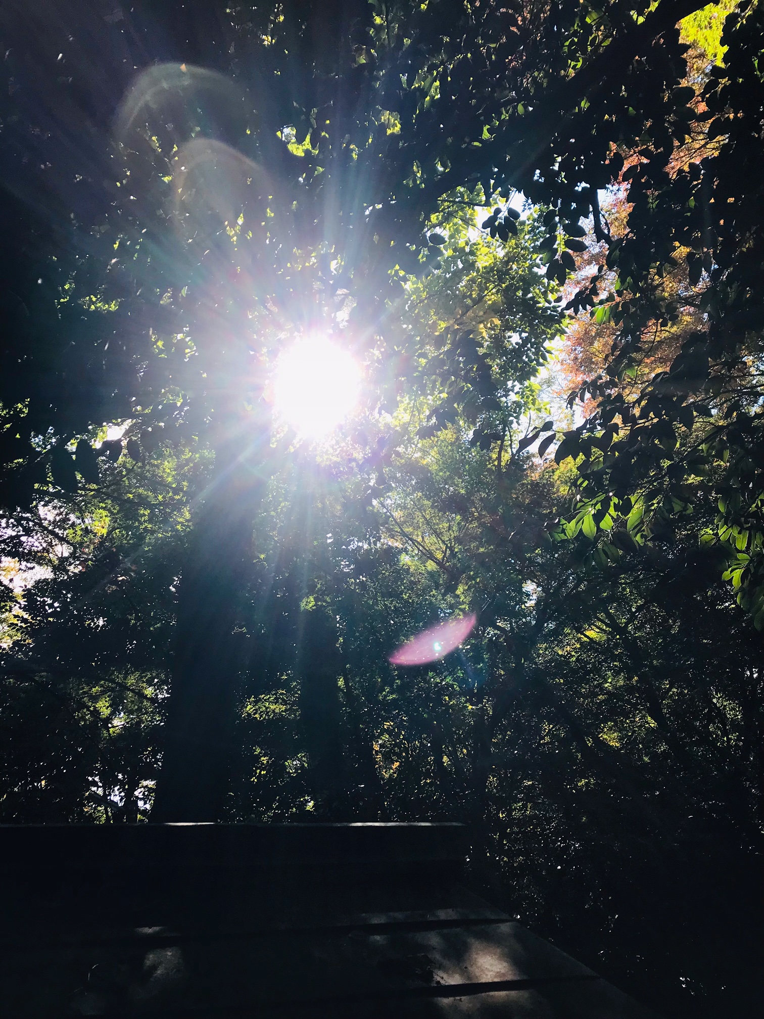 image1.jpeg