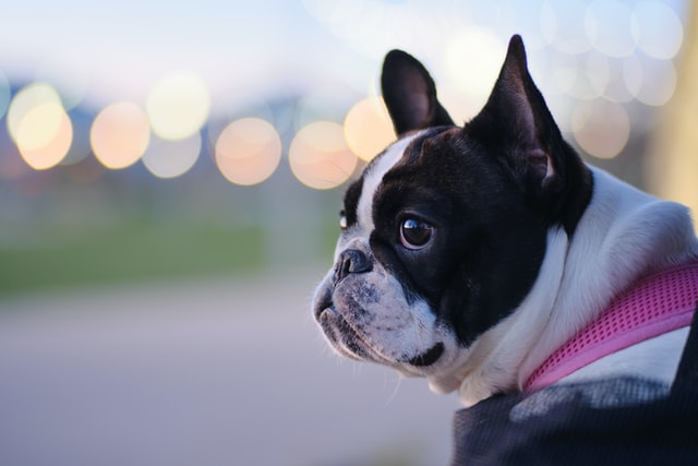 calvin-ma-mExXZhsdKso-unsplash.jpg