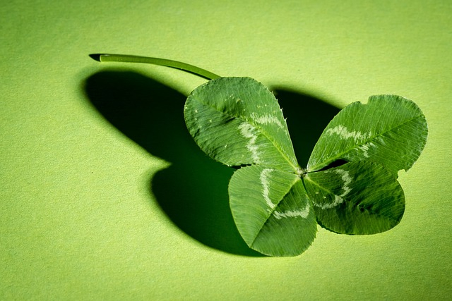 meineresterampe-clover-941597_640.jpg