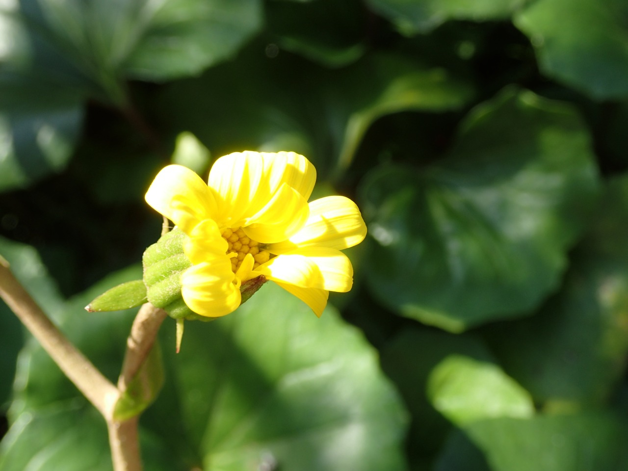 PB160617.JPG
