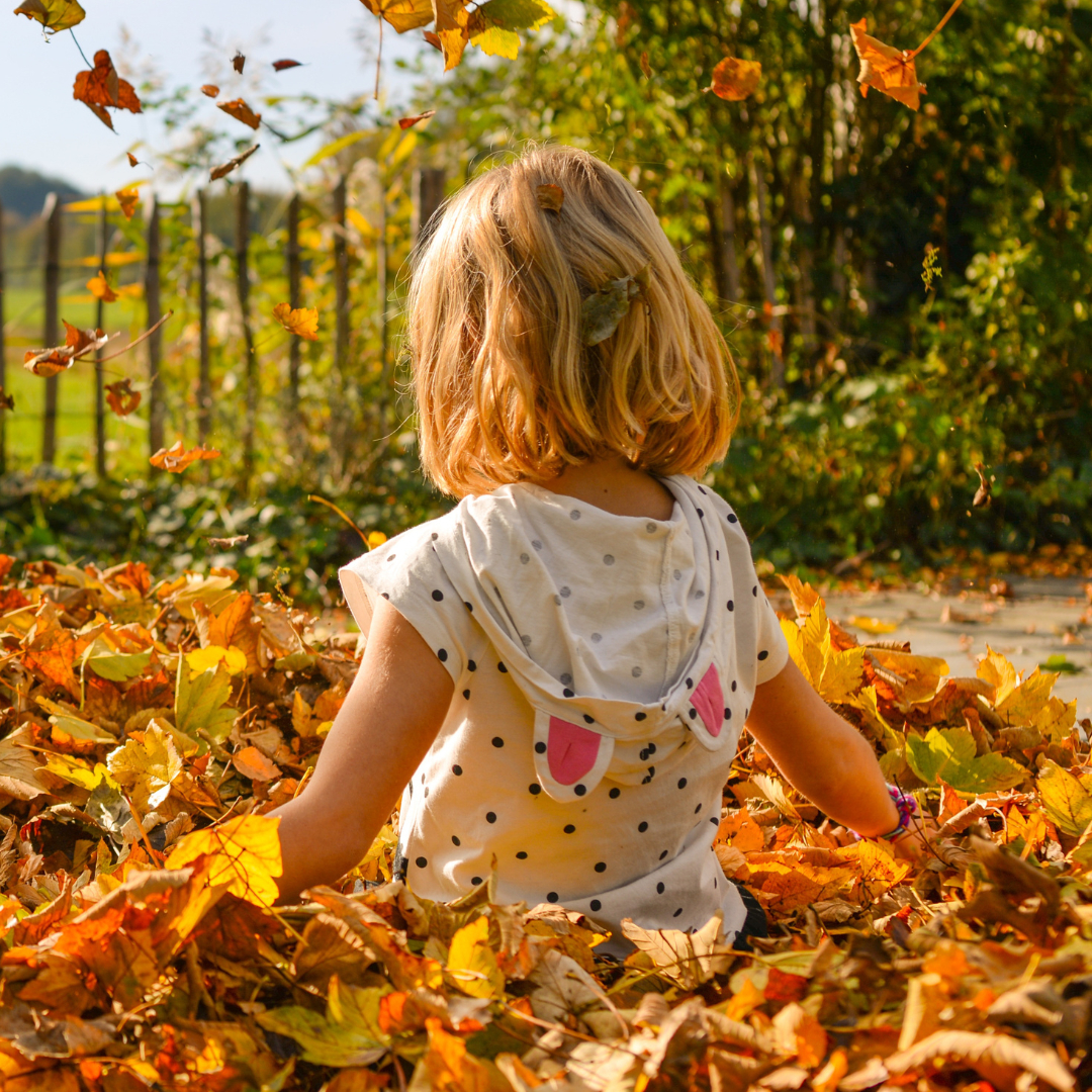 名称未設定のデザイン (22).png