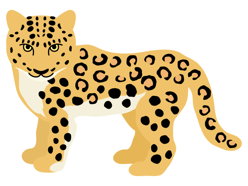 Untitled (2).png