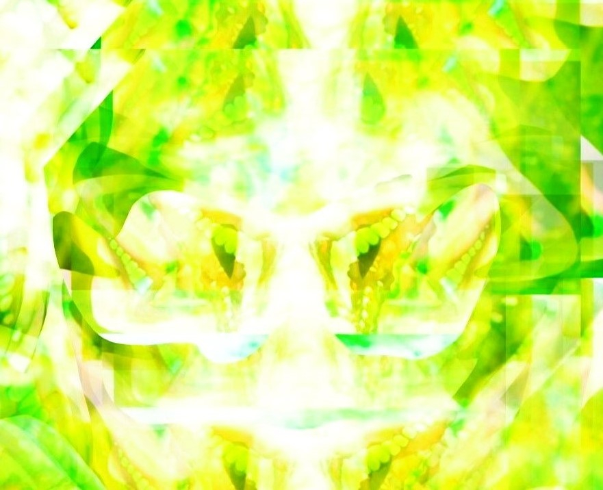 _20230110_08040922288800mnoii.JPG