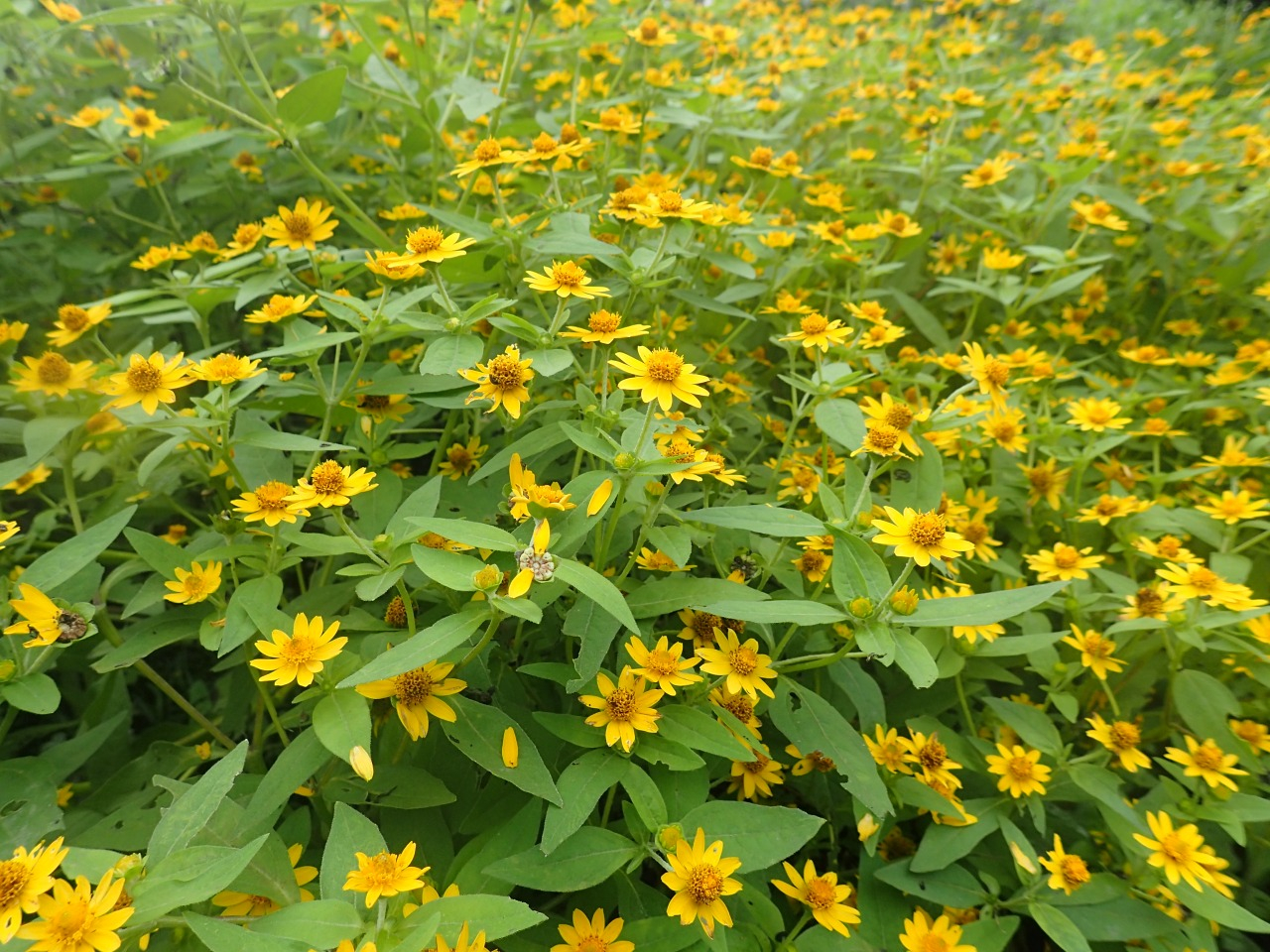 PA060084.JPG