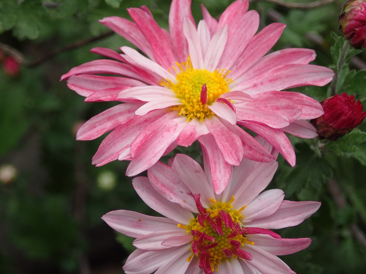 PA261490.JPG