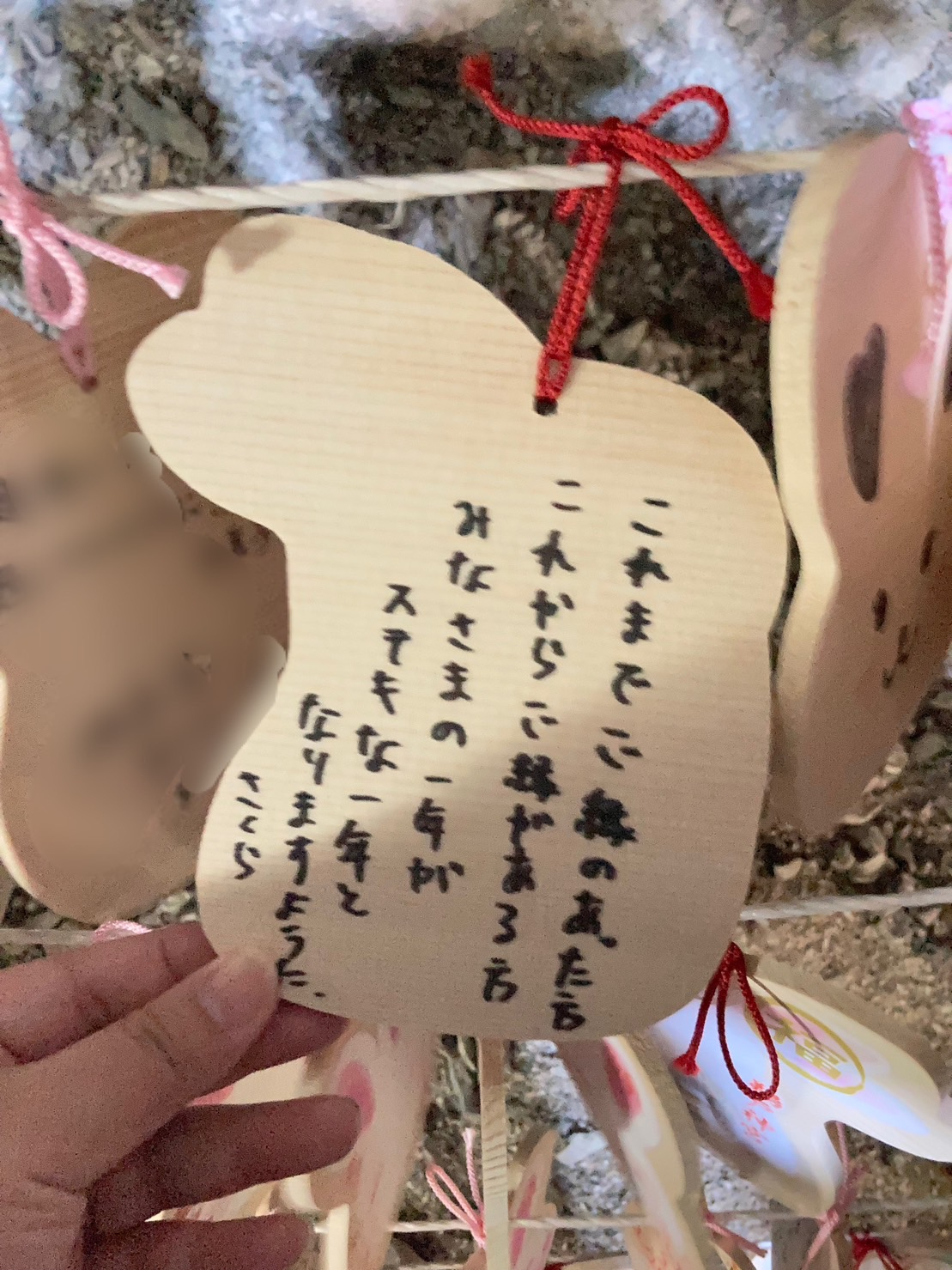 S__212975628.jpg