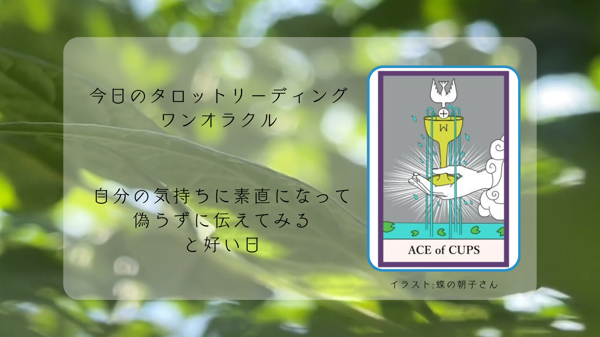 2025.9.6 カップのエース.png