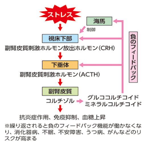 hukujinhirou.png
