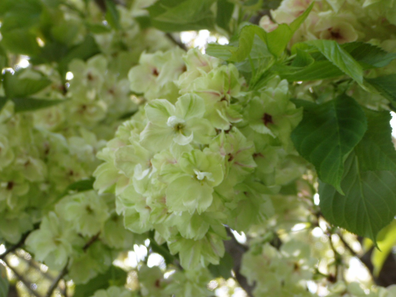 P1010025.JPG