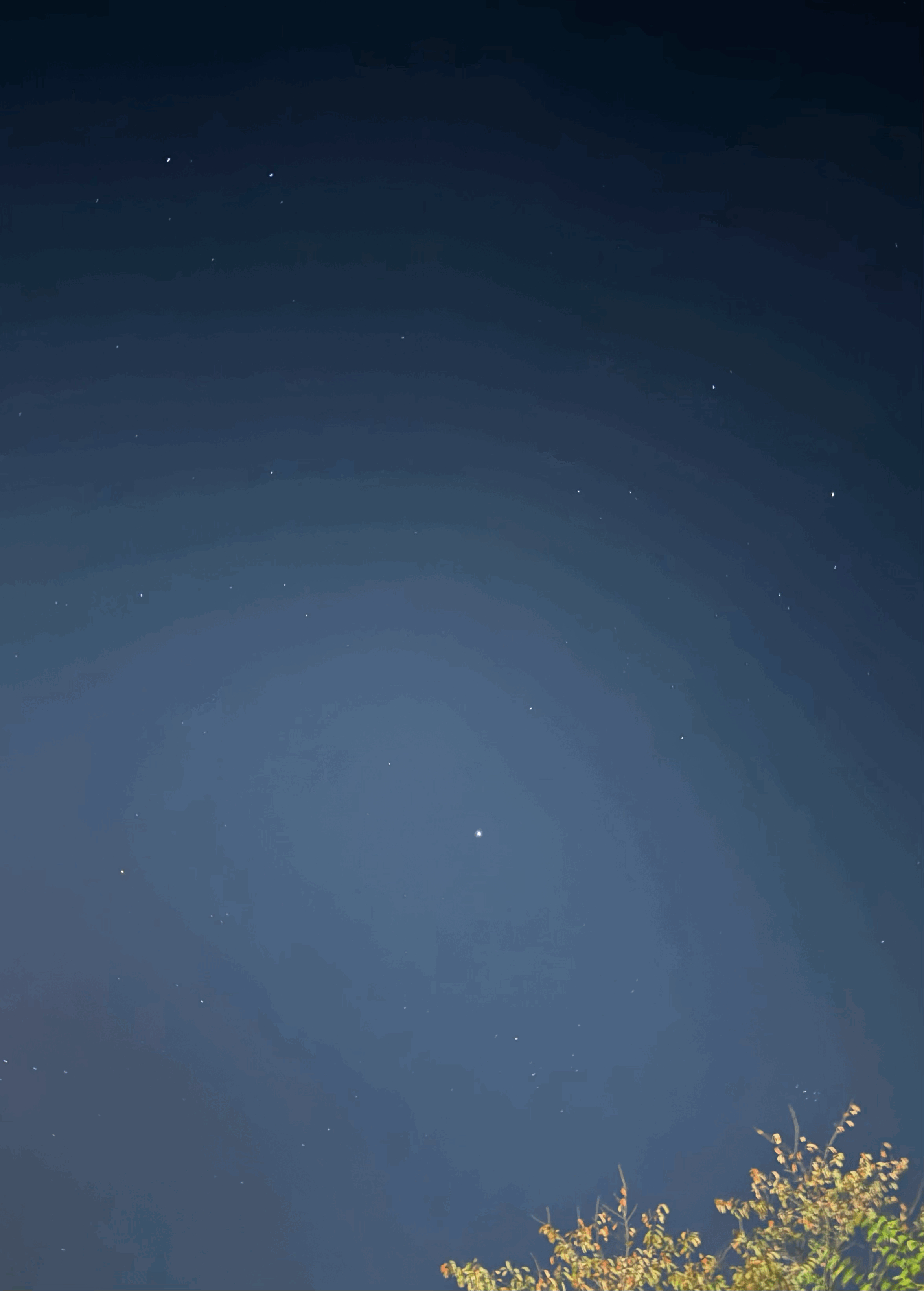 tempImage7xPedD.gif