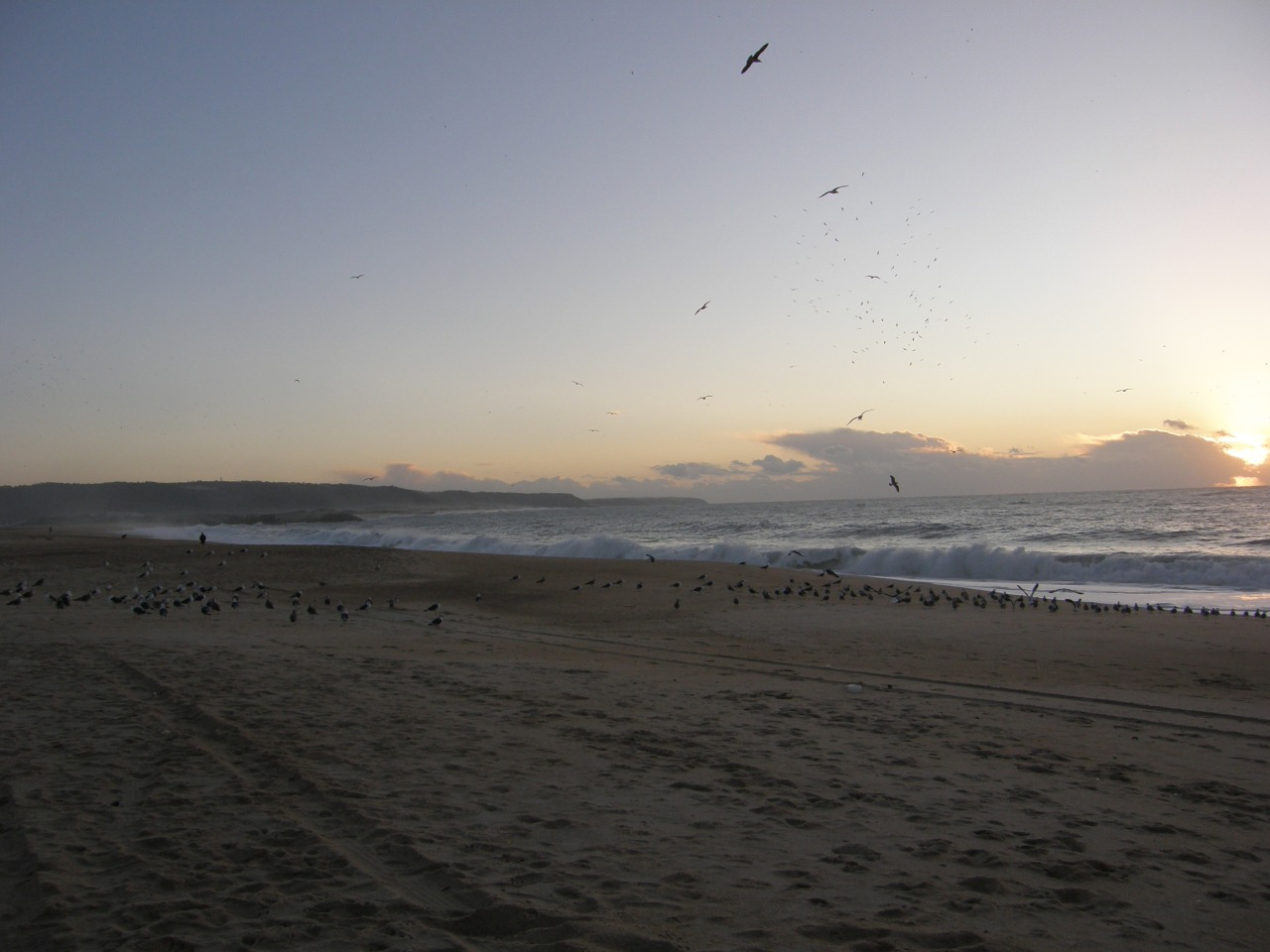 P1261458.JPG