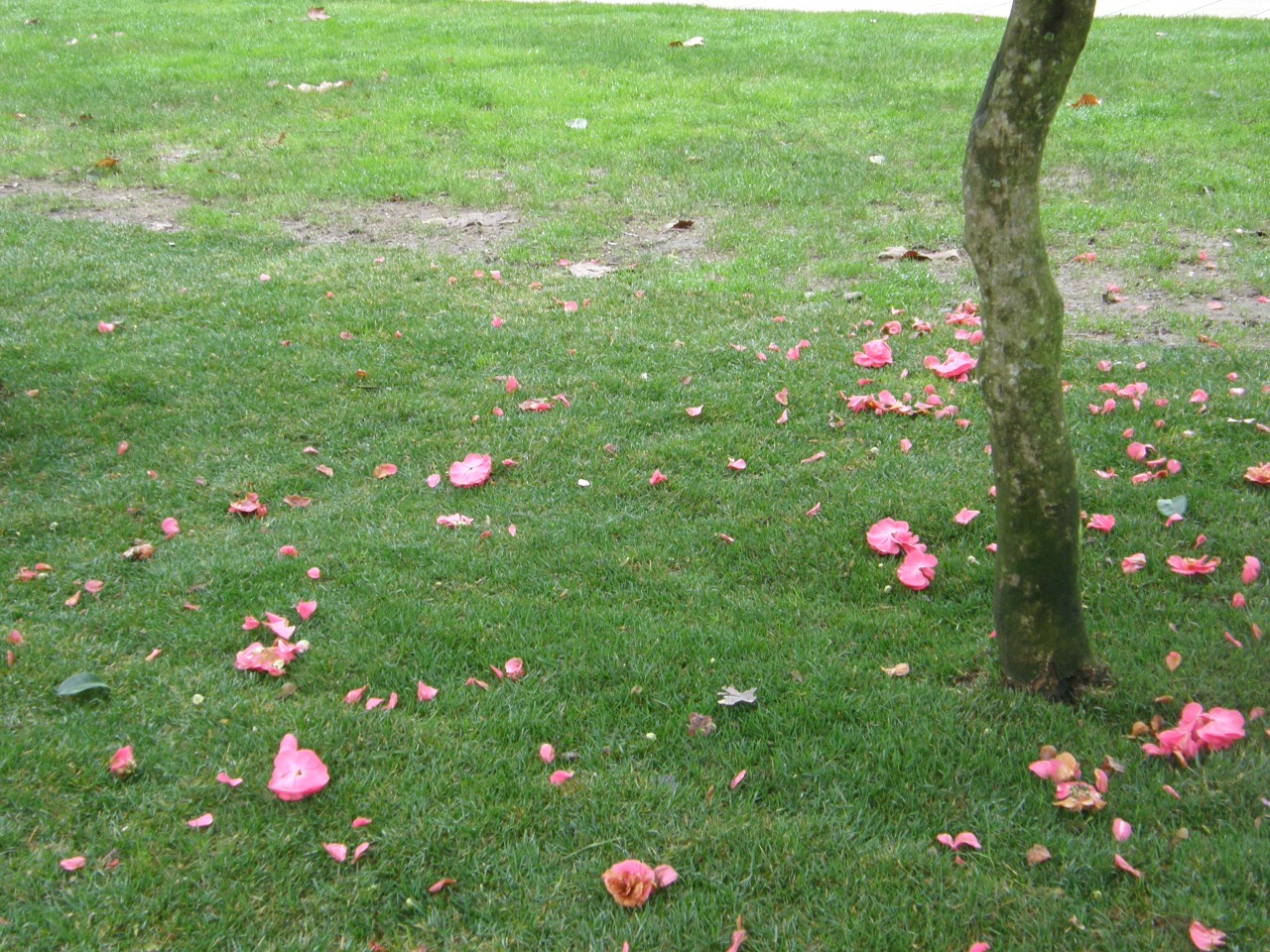 P1230400.JPG