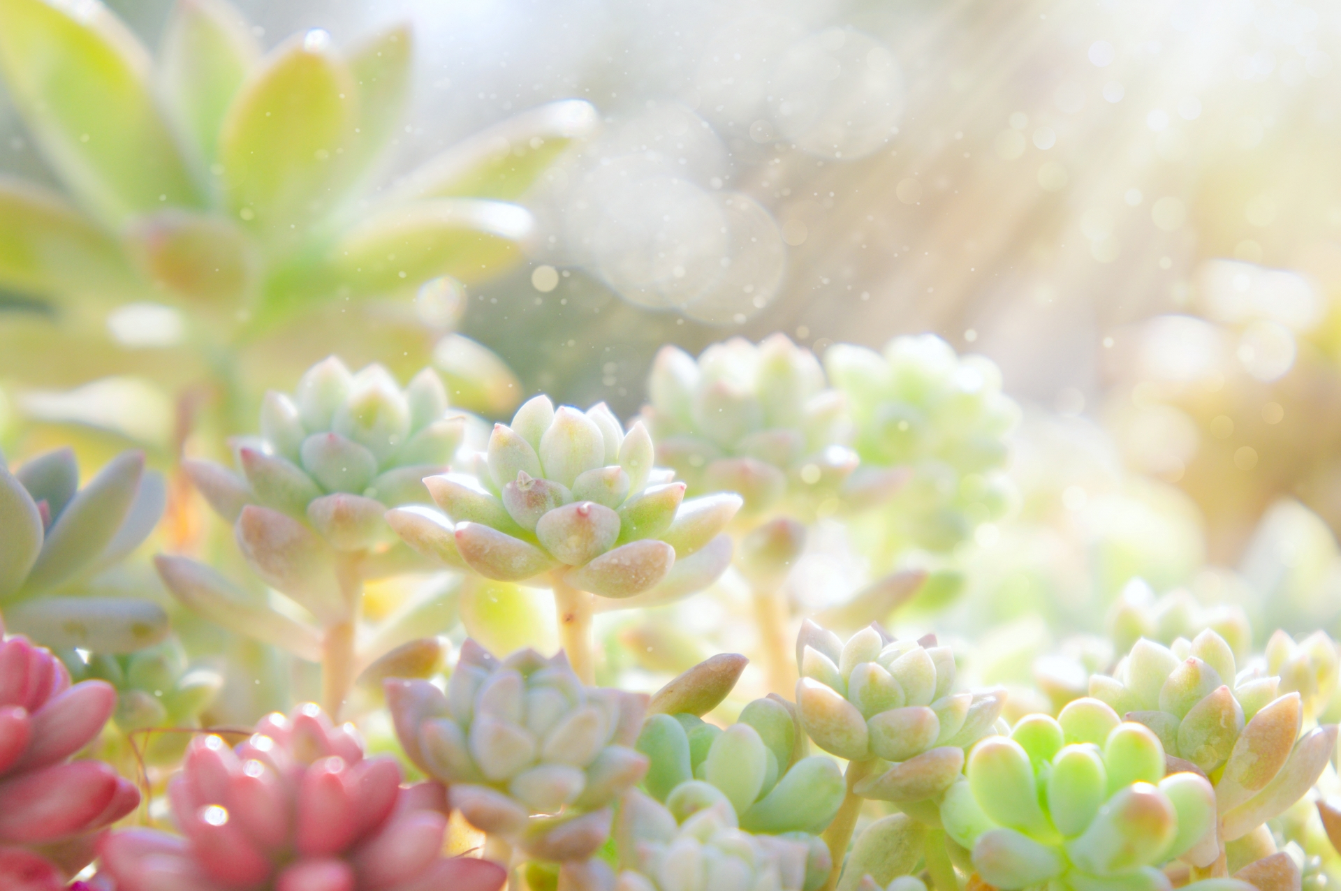 D3B2E250-E0F4-4172-9495-A69FB3C4DF54.jpeg