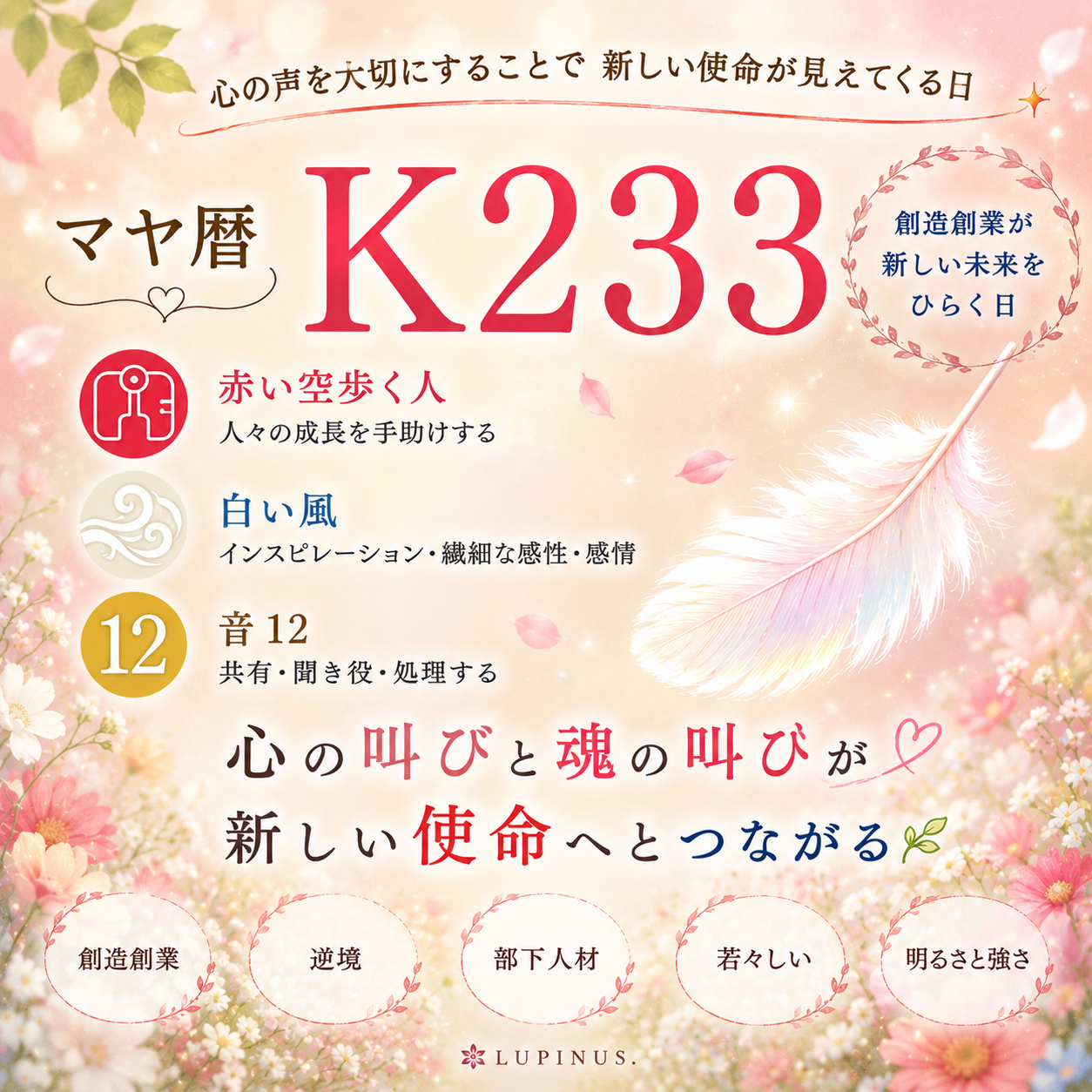 233.png