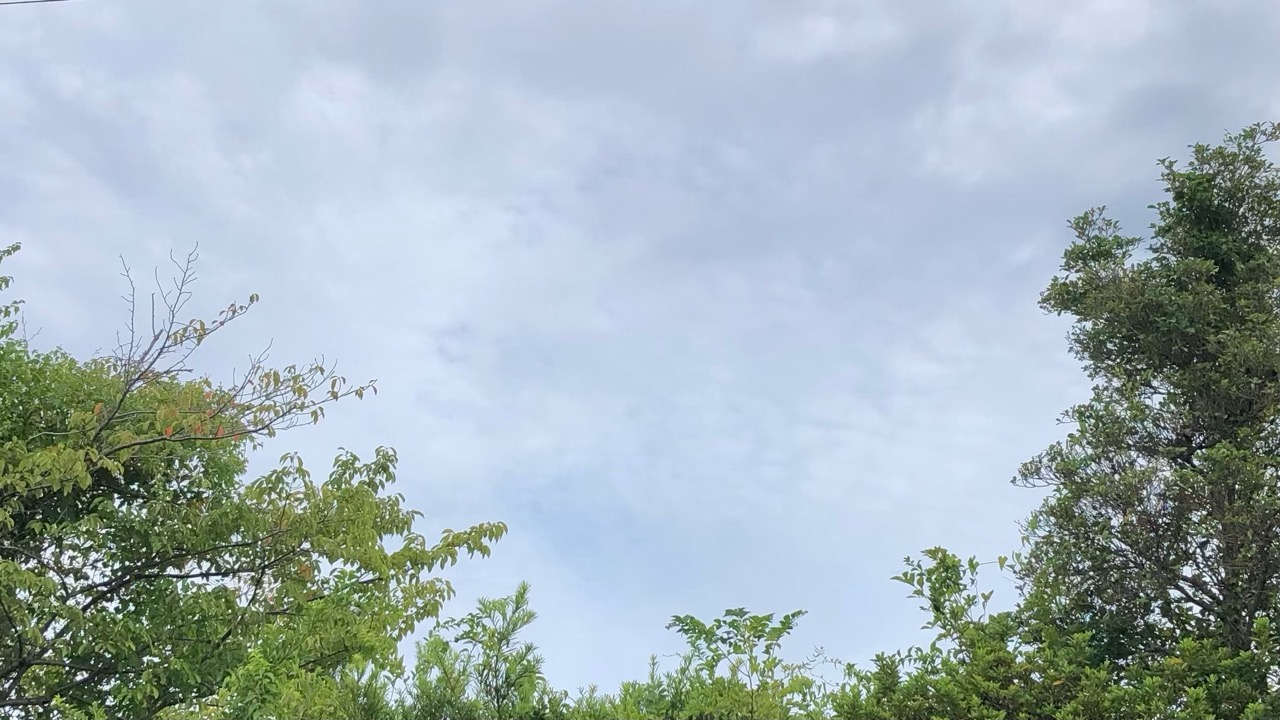 202608170720a25.jpeg
