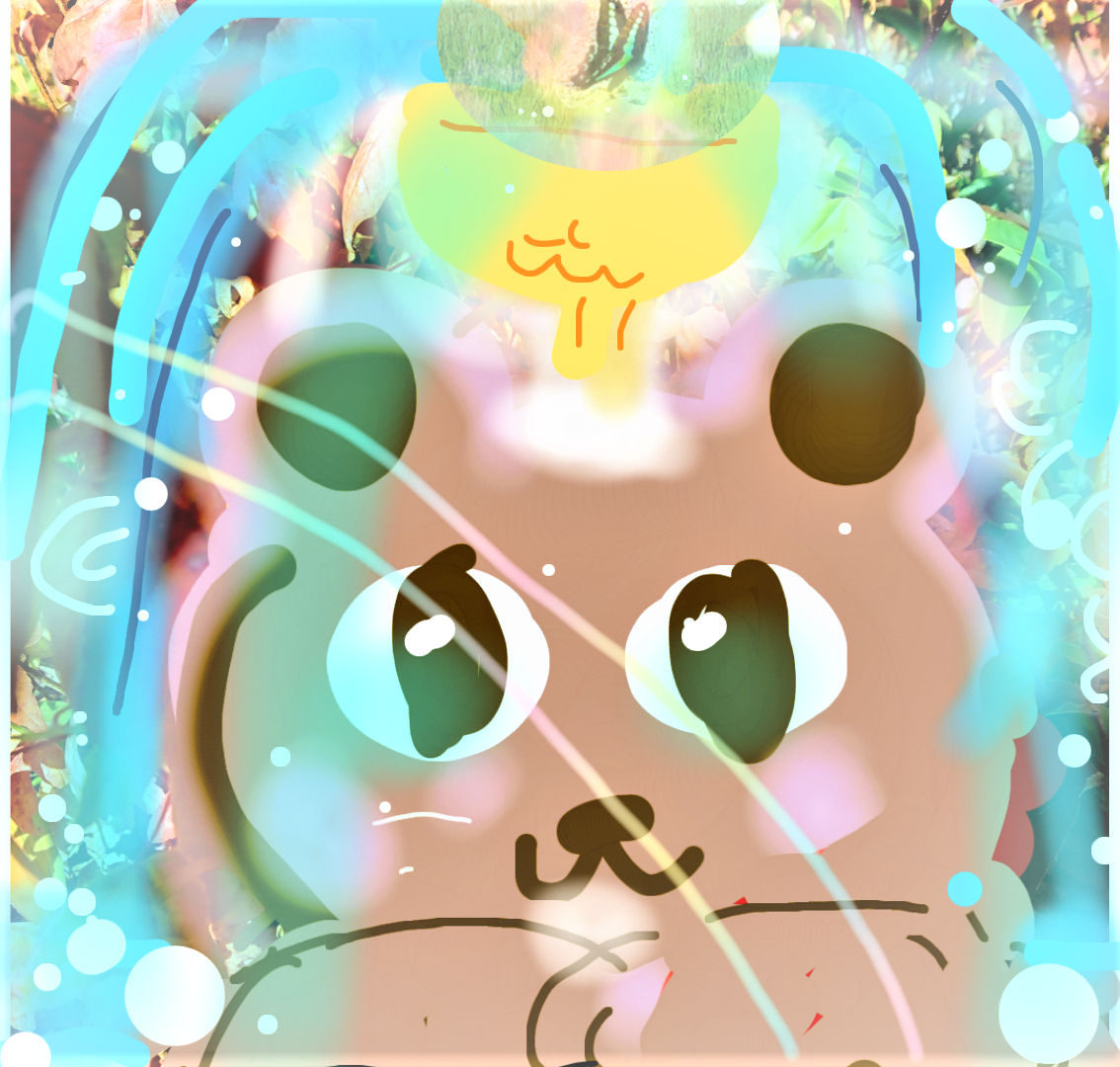 sketch-1656047848114 (2).png