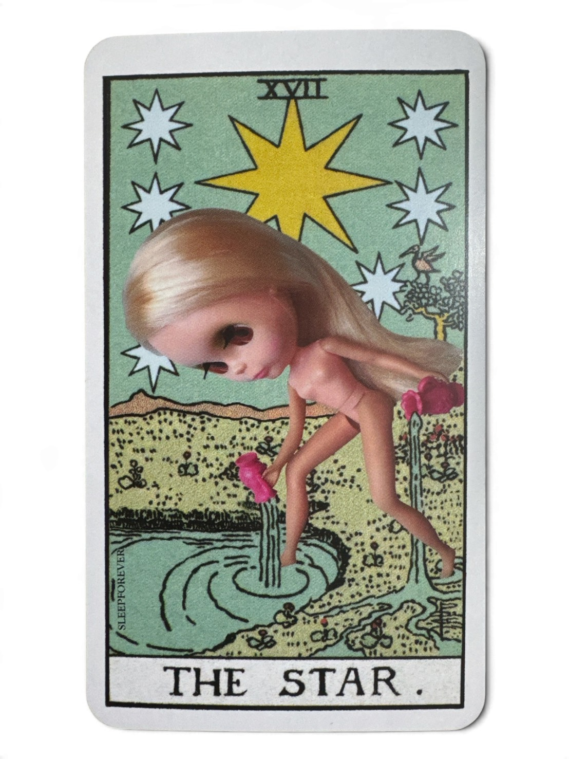S__192192516.jpg