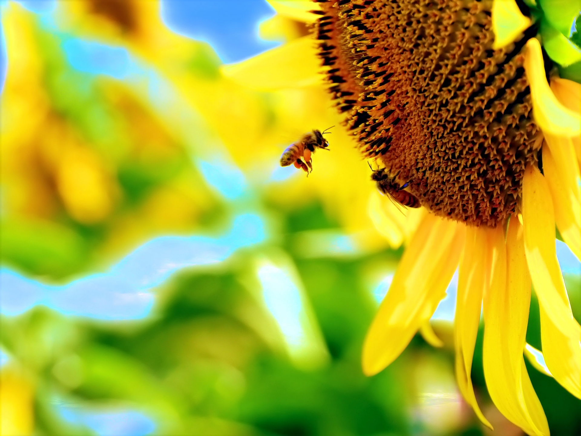 43804E7D-F5BB-4CB7-B3EF-5D1316C4B2F4.jpeg