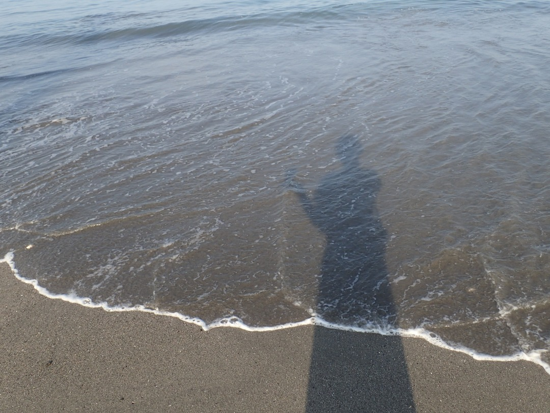 P8110757.JPG