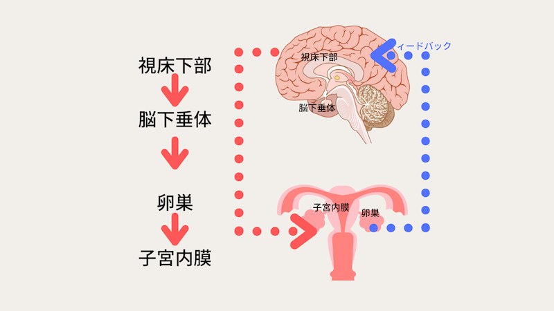 フィードバック.jfif