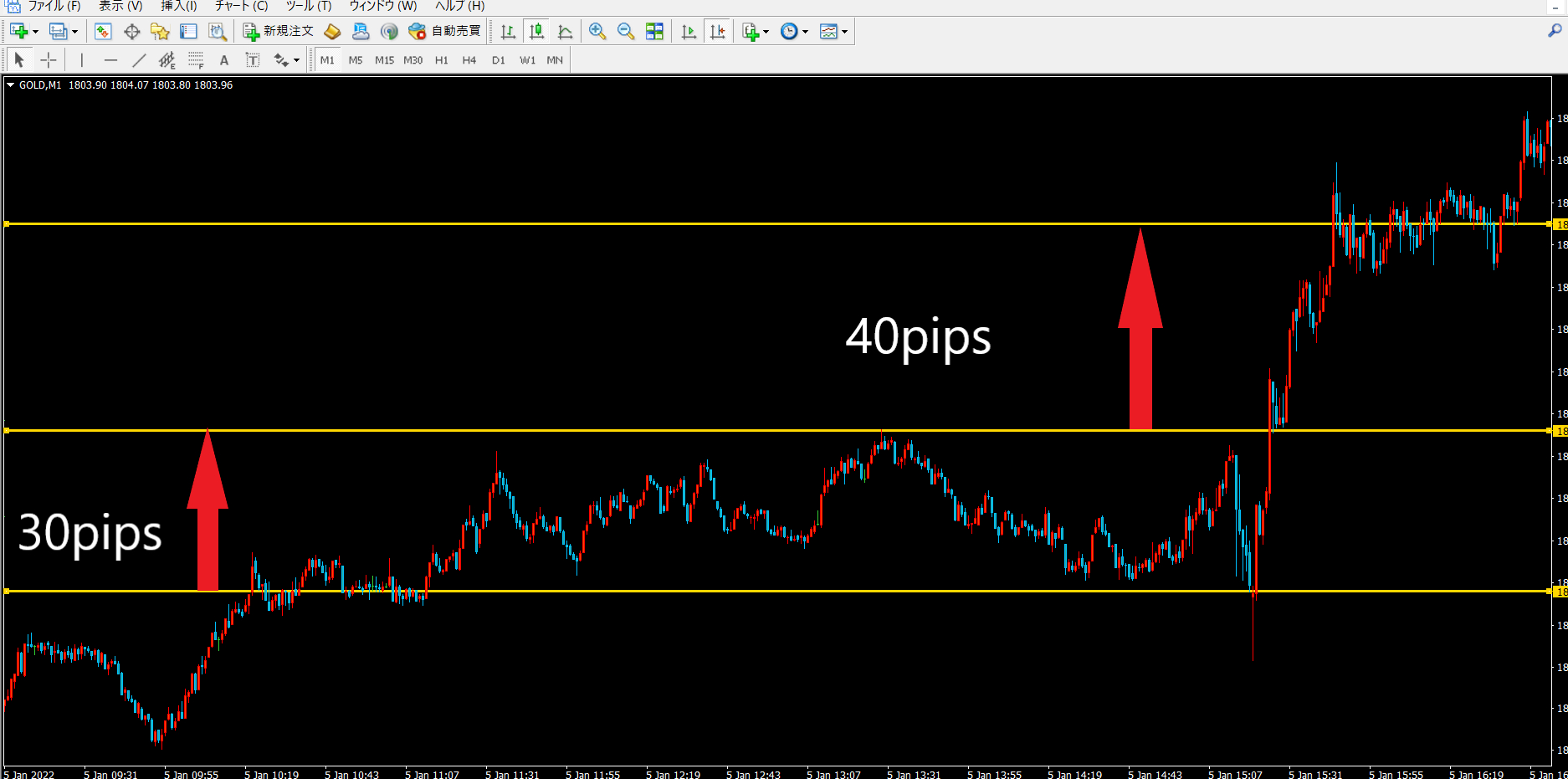 スクリーンショット (341).png