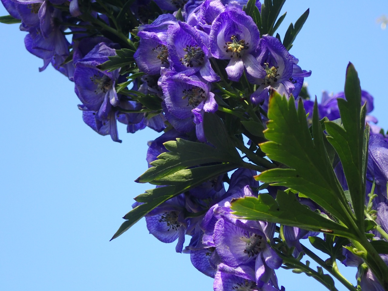 PB160170.JPG