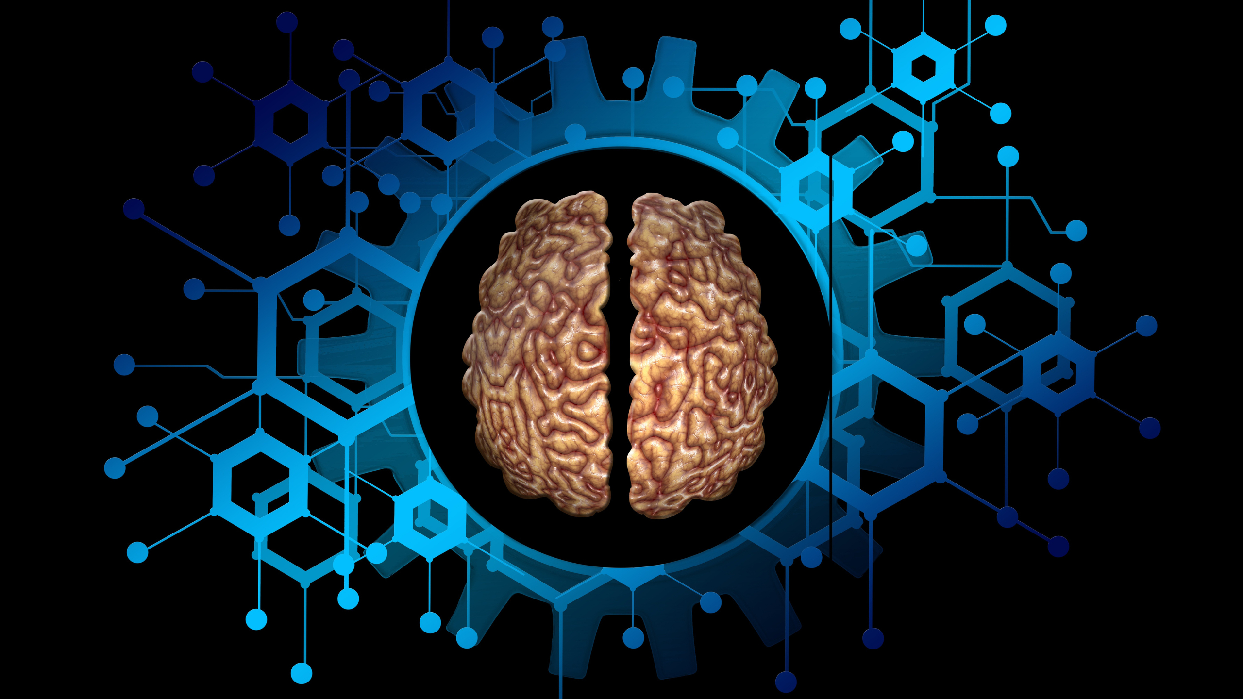 brain.png