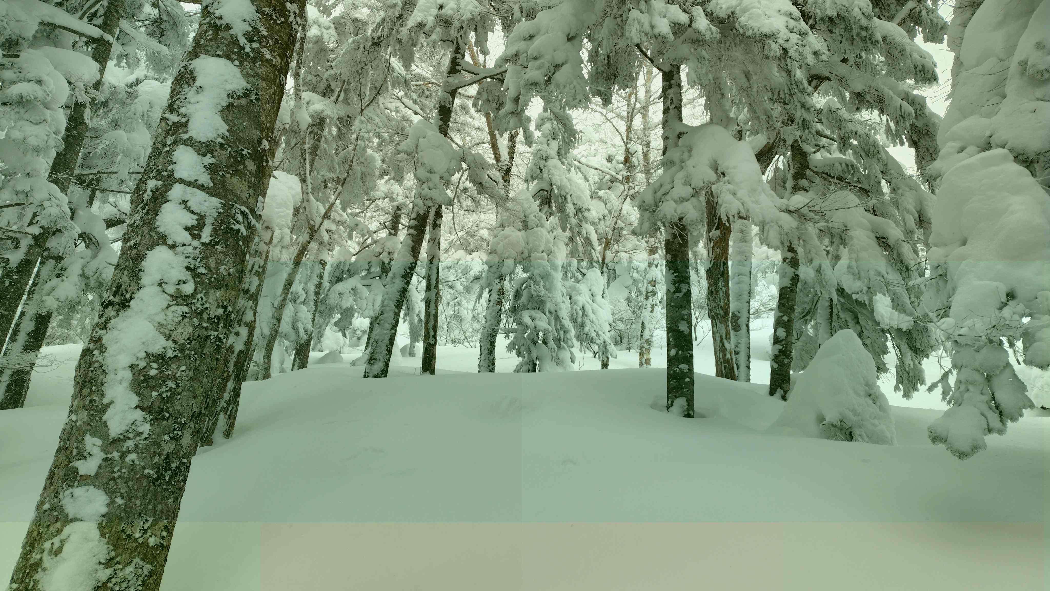 260122123442879IF_1_BURST260122123442879_COVER.JPG