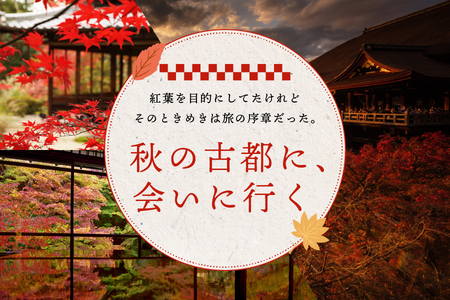 アートボード 1-100.jpg