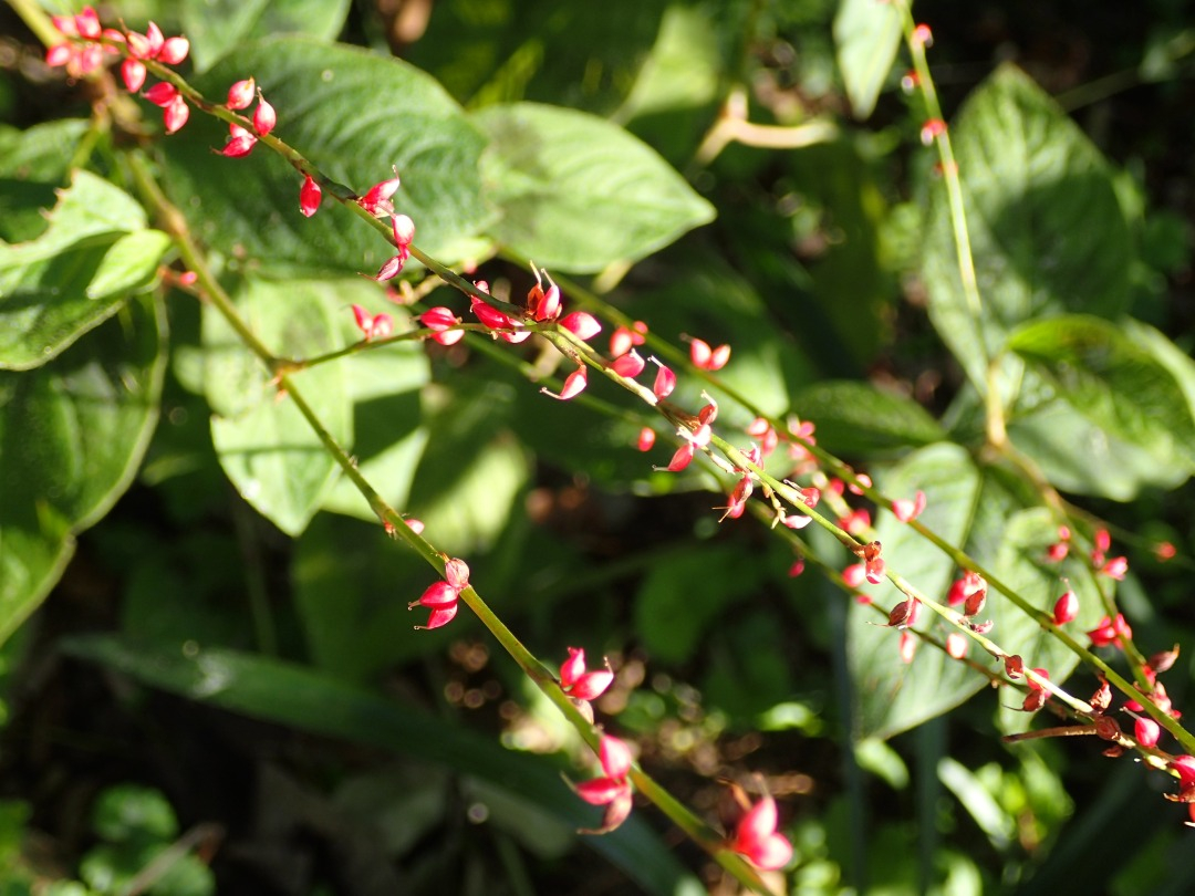 PA101031.JPG