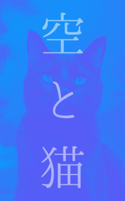 猫mini6.png